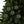 Holly Leaves Festive Ceramic Ornaments Christmas - Dipaliz - Holiday