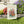 Vibrant Home Grown Happiness Banner – Durable Poly - Dipaliz - Flags & Windsocks