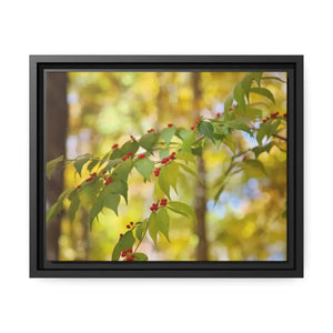 Honeysuckle Berries Matte Canvas Wall Art - Dipaliz - 14″ x 11″ (horizontal) / Black / 1.25’’ - Posters Prints & Visual