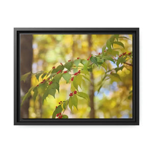 Honeysuckle Berries Matte Canvas Wall Art - Dipaliz - 16″ x 12″ (horizontal) / Black / 1.25’’ - Posters Prints & Visual