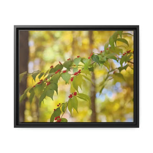 Honeysuckle Berries Matte Canvas Wall Art - Dipaliz - 20″ x 16″ (horizontal) / Black / 1.25’’ - Posters Prints & Visual