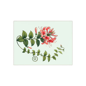 Honeysuckle Ceramic Photo Tile – 6x6 Floral Decor - Dipaliz - Wall Tiles
