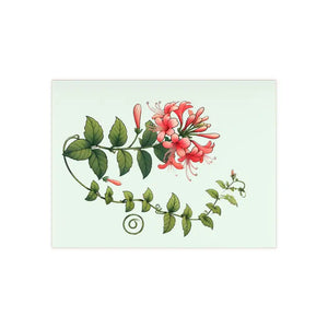 Home Decor - Honeysuckle Ceramic Photo Tile by Dipaliz