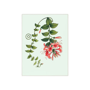Honeysuckle Ceramic Photo Tile – 6x6 Floral Decor - Dipaliz - Wall Tiles