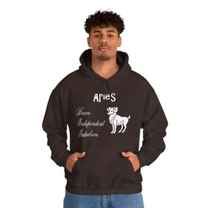Aries Zodiac Sign Hooded Sweatshirt Unisex Heavy Blend - Dipaliz - Hoodies