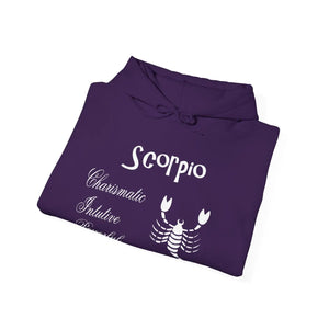 Bold Scorpio Sign Hooded Sweatshirt - Zodiac Tee Style - Dipaliz - Hoodies