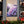 Hydrangea Canvas Gallery Wraps – Artist Grade - Dipaliz - Prints