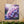 Hydrangea Canvas Gallery Wraps – Artist Grade - Dipaliz - Prints