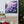 Hydrangea Canvas Gallery Wraps – Artist Grade - Dipaliz - Prints
