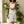 Muted Botanical Midi Dress - Indoor Plants Setting
