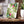 Ceramic Photo Tile Hydrangea Vine Blue Matte - Dipaliz - Wall Tiles