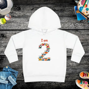Toddler Fleece Hoodie - Cozy Birthday Gift Adventure Wear - Dipaliz - 2t / White - Sweatshirts