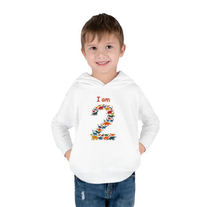 Toddler Fleece Hoodie - Cozy Birthday Gift Adventure Wear - Dipaliz - Sweatshirts