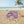Water Absorbent Towel – Multi Colored Flowers - Dipaliz - Beach Towels