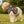 Vibrant Green Dog Hoodie - Abstract Pattern Polyester - Dipaliz - Pet Hoodies