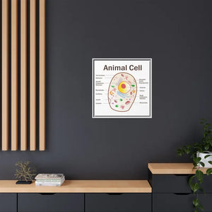Animal Cell Diagram Gallery Canvas Wrap - Colorful Biology Art - Dipaliz - Prints