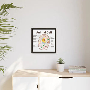 Animal Cell Diagram Gallery Canvas Wrap - Colorful Biology Art - Dipaliz - Prints