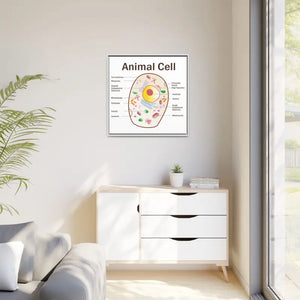 Animal Cell Diagram Gallery Canvas Wrap - Colorful Biology Art - Dipaliz - Prints