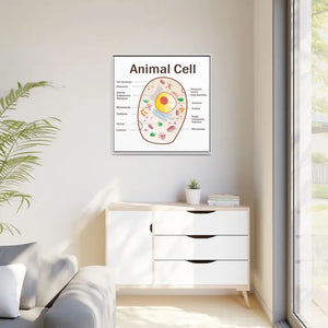 Animal Cell Diagram Gallery Canvas Wrap - Colorful Biology Art - Dipaliz - Prints