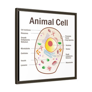 Animal Cell Diagram Gallery Canvas Wrap - Colorful Biology Art - Dipaliz - Prints