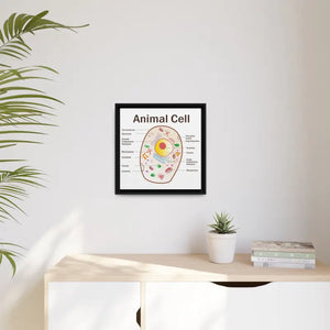 Animal Cell Diagram Gallery Canvas Wrap - Colorful Biology Art - Dipaliz - Prints