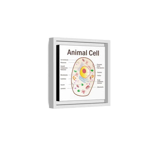 Animal Cell Diagram Gallery Canvas Wrap - Colorful Biology Art - Dipaliz - Prints