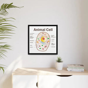 Animal Cell Diagram Gallery Canvas Wrap - Colorful Biology Art - Dipaliz - Prints