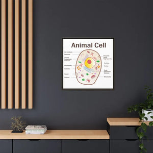 Animal Cell Diagram Gallery Canvas Wrap - Colorful Biology Art - Dipaliz - Prints