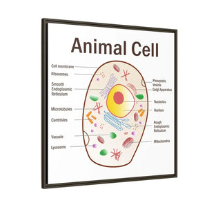 Animal Cell Diagram Gallery Canvas Wrap - Colorful Biology Art - Dipaliz - Prints