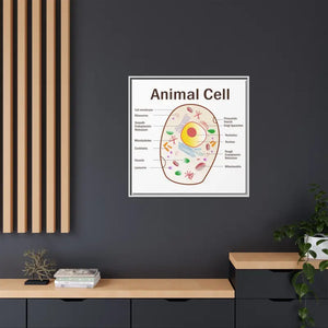 Animal Cell Diagram Gallery Canvas Wrap - Colorful Biology Art - Dipaliz - Prints