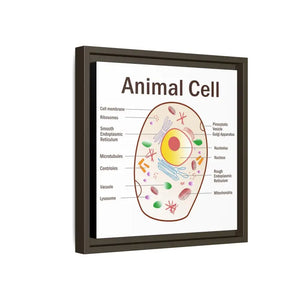 Animal Cell Diagram Gallery Canvas Wrap - Colorful Biology Art - Dipaliz - Prints