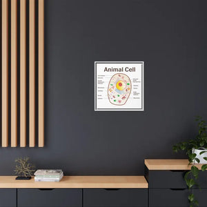 Animal Cell Diagram Gallery Canvas Wrap - Colorful Biology Art - Dipaliz - Prints