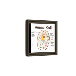 Animal Cell Diagram Gallery Canvas Wrap - Colorful Biology Art - Dipaliz - Prints