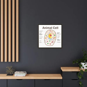Animal Cell Diagram Gallery Canvas Wrap - Colorful Biology Art - Dipaliz - Prints