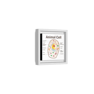 Animal Cell Diagram Gallery Canvas Wrap - Colorful Biology Art - Dipaliz - Prints