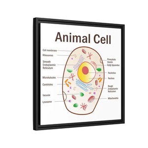 Animal Cell Diagram Gallery Canvas Wrap - Colorful Biology Art - Dipaliz - Prints