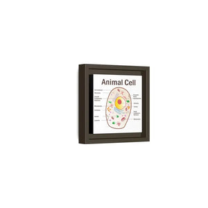 Animal Cell Diagram Gallery Canvas Wrap - Colorful Biology Art - Dipaliz - Prints