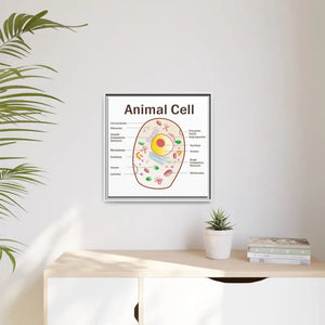 Animal Cell Diagram Gallery Canvas Wrap - Colorful Biology Art - Dipaliz - Prints