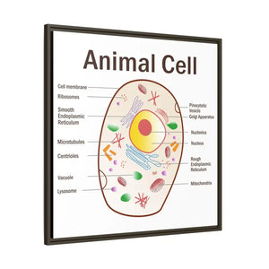 Animal Cell Diagram Gallery Canvas Wrap - Colorful Biology Art - Dipaliz - Prints