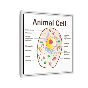 Animal Cell Diagram Gallery Canvas Wrap - Colorful Biology Art - Dipaliz - Prints