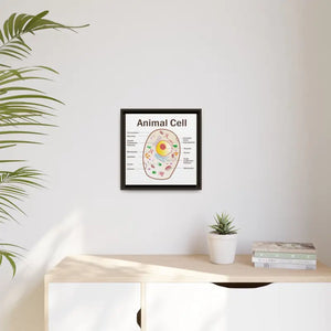 Animal Cell Diagram Gallery Canvas Wrap - Colorful Biology Art - Dipaliz - Prints