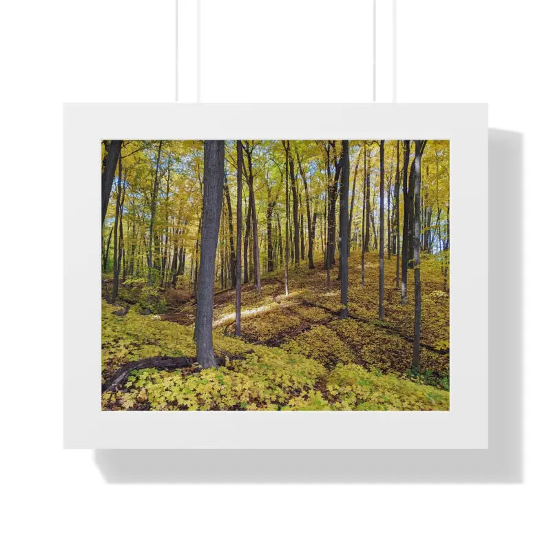 Canvas Wraps - Beach-ready Wall Art | Dipaliz - 14″ x 11″ / White - Posters Prints & Visual Artwork