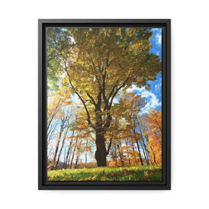 DipaliZ Autumn Tree matte canvas print in a black pine wood frame