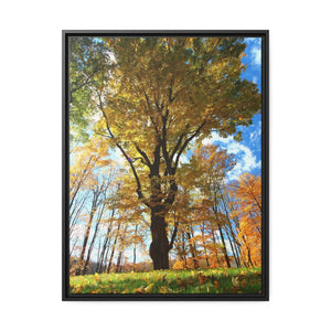 Vibrant Matte Canvas - Autumn Season Black Frame - Dipaliz - Posters Prints & Visual Artwork