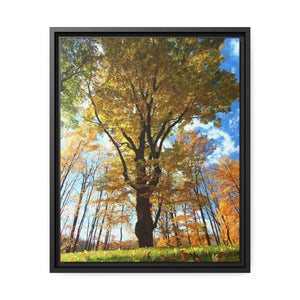 Vibrant Matte Canvas - Autumn Season Black Frame - Dipaliz - Posters Prints & Visual Artwork