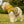 Stylish Birds Dog Hoodie - Polyester Comfort - Dipaliz - Pet Hoodies