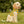 Stylish Birds Dog Hoodie - Polyester Comfort - Dipaliz - Pet Hoodies