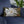 Magnolia Flower Throw Pillow – Insert Included - Dipaliz - Pillows