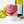 Flower Petals Wine Tumbler - Insulated Stainless Steel - Dipaliz - Tumblers