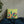 Colorful Petals Throw Pillow – Insert Included - Dipaliz - Pillows